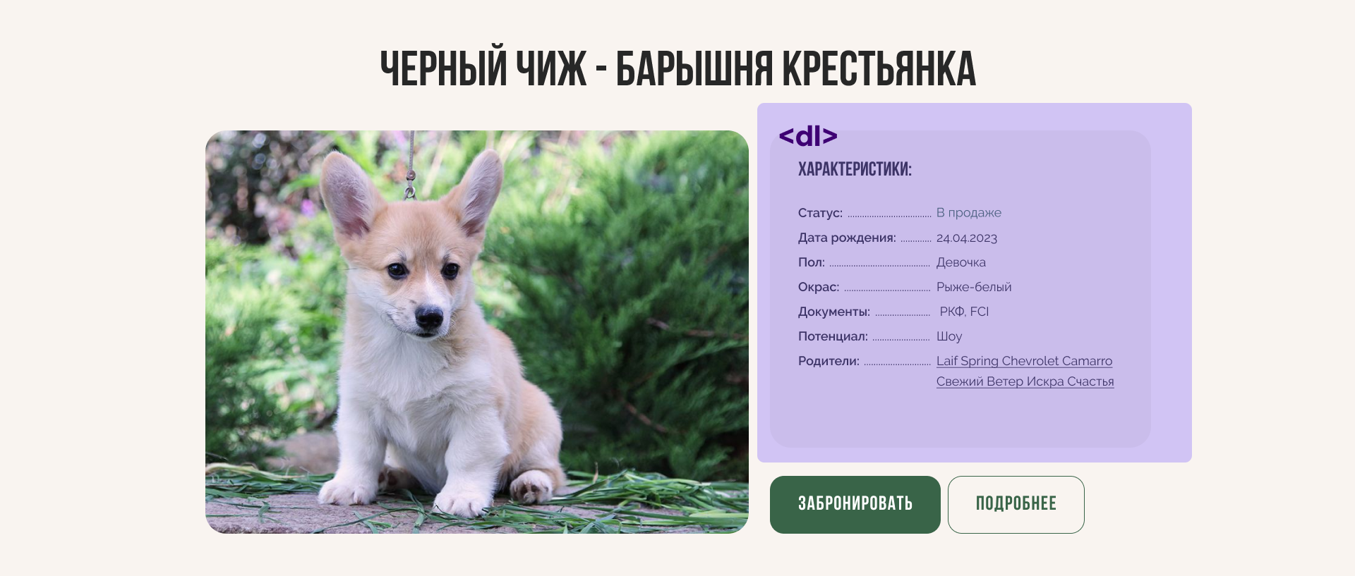 Пример структуры веб-страницы